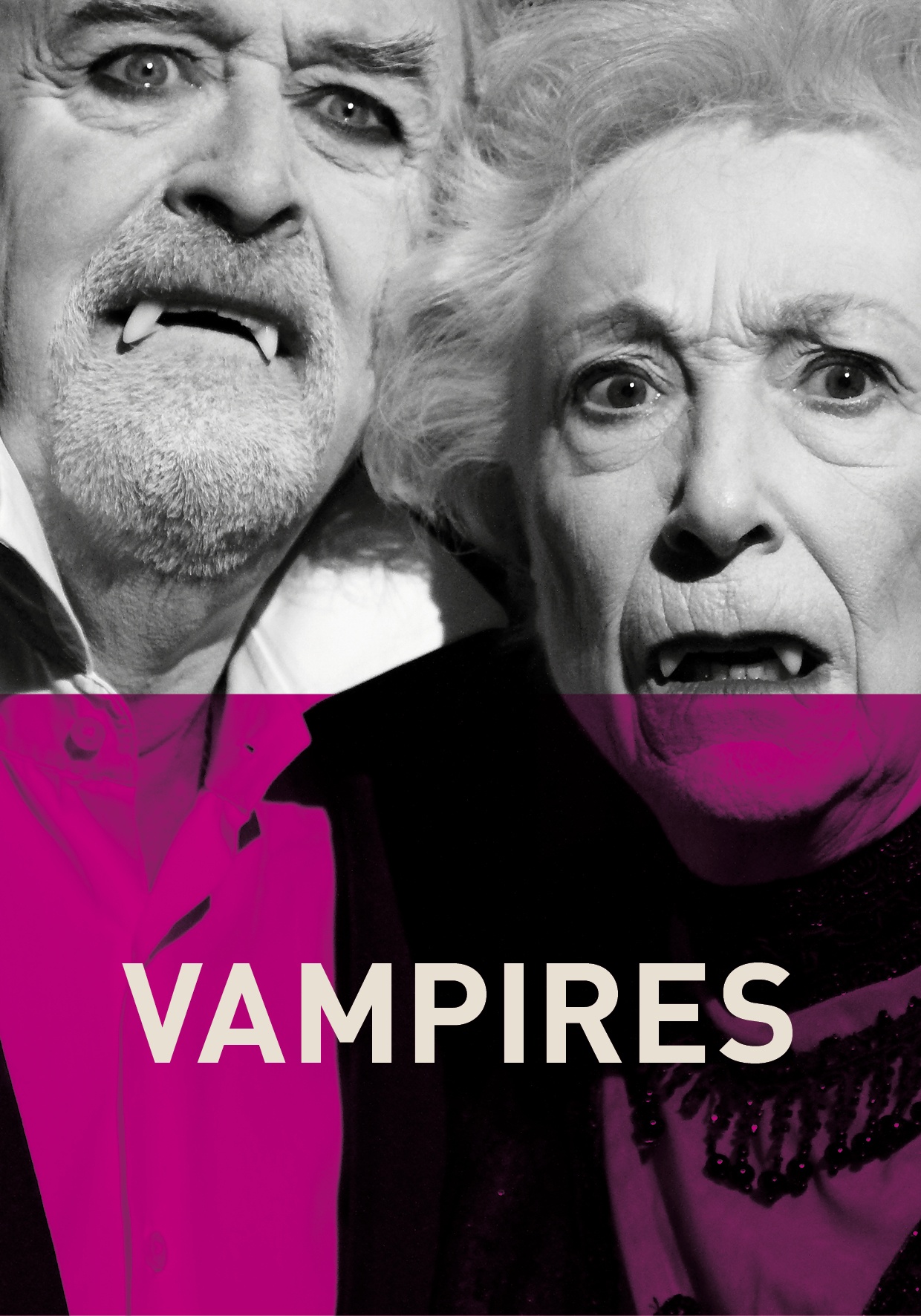 Affiche du spectacle