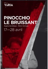 Affiche du spectacle